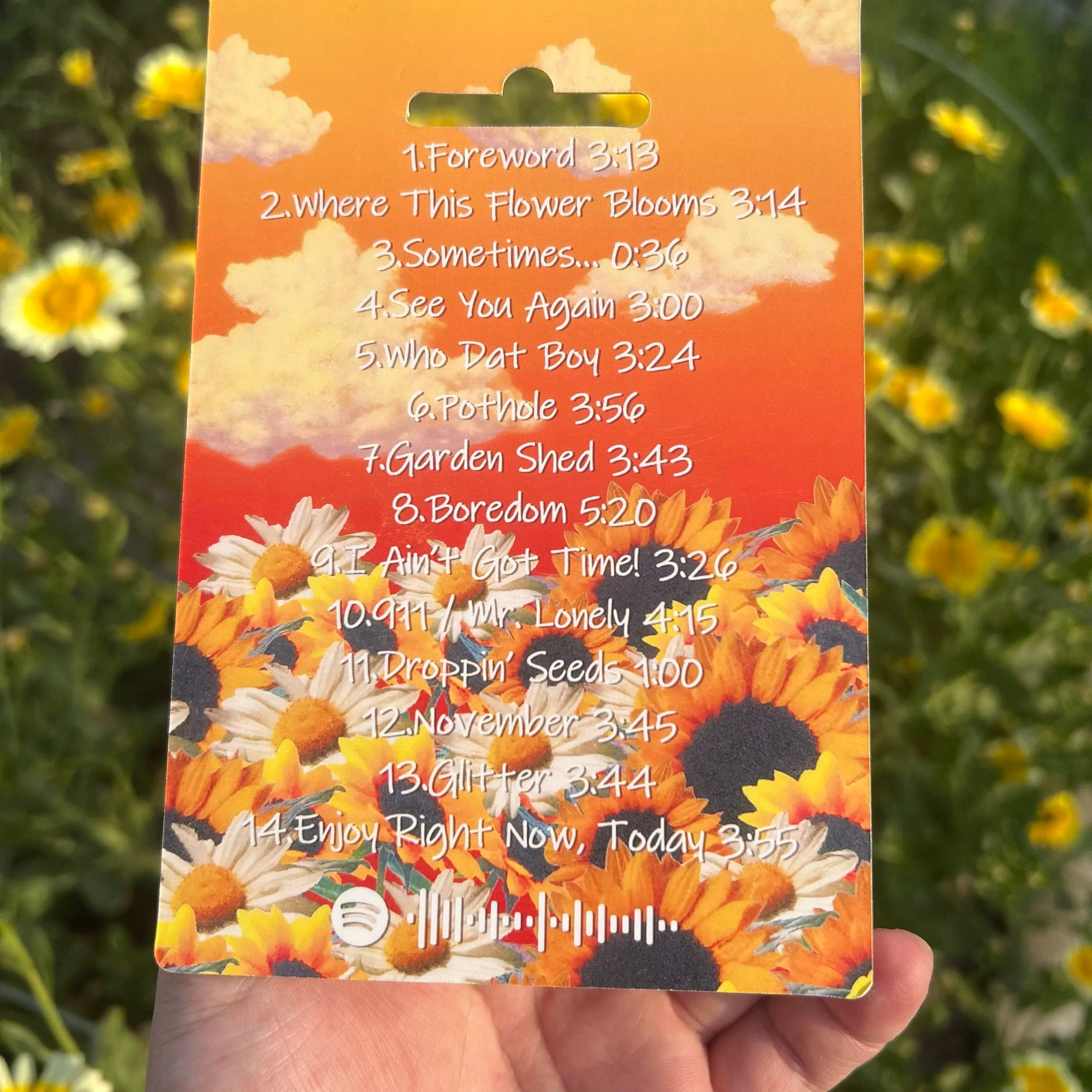 Tyler, The Creator "Flower Boy" Custom Minifigure